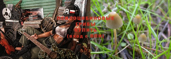 бошки Алзамай