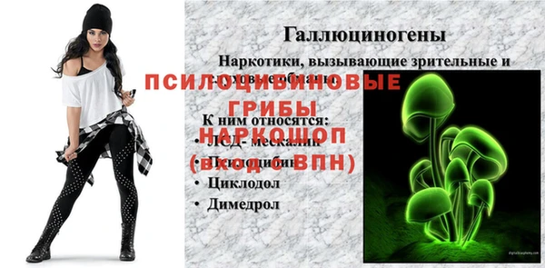 бошки Алзамай