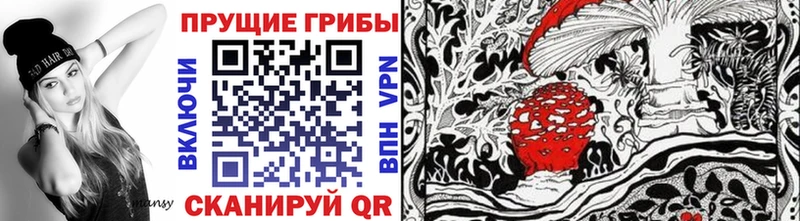 цены наркотик  Ессентукская  Галлюциногенные грибы Cubensis 